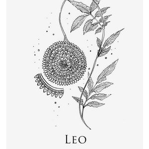 Meet your Posher, Liv